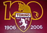 100 Logo