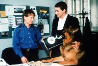 'Le Avventure del Commissario Rex 4' da stasera sugli schermi di Hallmark (Sky)