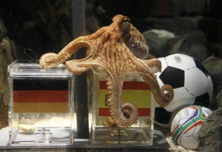 Mondiali Sud Africa 2010 - Semifinale: Germania-Spagna (diretta Rai 1 e Sky) Mondiali Sud Africa 2010 - Semifinale: Germania-Spagna (diretta Rai 1 e Sky)