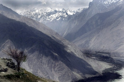 Immagine di La tv celebra il World Environment Day, la giornata mondiale dell&#039;ambiente