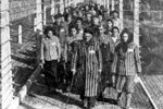 27 Gennaio, il Giorno della Memoria: palinsesti speciali per ricordare la Shoah