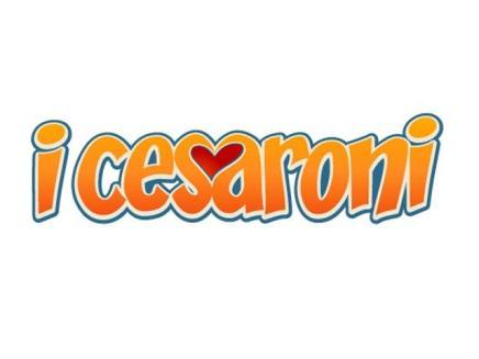Immagine di Due puntate riassuntive dei Cesaroni, praticamente 'un bignamino' - Scopri su Televisione
