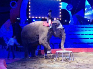 Circo Massimo Show, sei puntate ogni lunedÃ su RaiTre con i famosi giocolieri