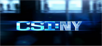 Italia 1, in prima tv nuovi episodi di ''CSI:NY'', ''Fringe'' e ''Saving Grace''