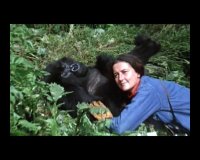 Immagine di Golda Meir e Dian Fossey: due donne nel mito su Hallmark (Sky, canale 136)