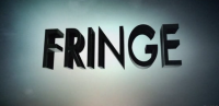Italia 1, in prima tv nuovi episodi di ''CSI:NY'', ''Fringe'' e ''Saving Grace''