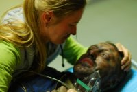 Discovery Channel, ''Fine di un incubo'' straordinarie storie di sopravvivenza