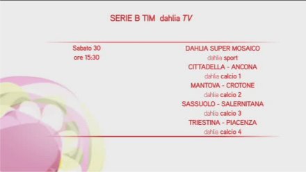 Dahlia Serie B - in anteprima i telecronisti dei recuperi della 19a giornata Dahlia Serie B - in anteprima i telecronisti dei recuperi della 19a giornata