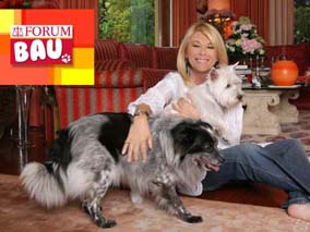 Rita dalla Chiesa in ''Forum Bau'', spin off del Tribunale di Rete 4