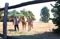 Rai 1 - Terence Hill di nuovo in tv con 'L'uomo che cavalcava nel buio'