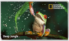Visualizza: BSkyB aggiunge 2 nuovi canali in HDTV e arriva a 28! su Digital-News.it Immagine di BSkyB aggiunge 2 nuovi canali in HDTV e arriva a 28!