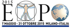 Immagine di Milano Expo 2015: la Rai costituisce gruppo di lavoro per la promozione - Scopri su Televisione