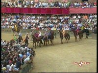 Palio di Siena Luglio 2009: in diretta oggi pomeriggio su RaiDue