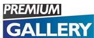 Immagine nel testo correlata a: Mediaset: ''Dal 2009 i contenuti Premium Gallery anche su IPTV Alice''