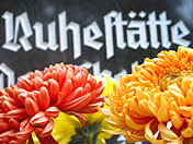 Tv dedicata alla morte