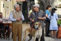 Immagine di La tv secondo Kaos - Banfi, Scusate il disturbo: strumentale e mal recitato
