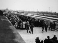 27 Gennaio, il Giorno della Memoria: palinsesti speciali per ricordare la Shoah