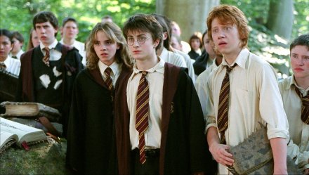 Natale 2010 - Segnalazioni canali Rai per Venerdi 31 Dicembre 2010 HARRY POTTER E IL PRIGIONIERO DI AZKABAN