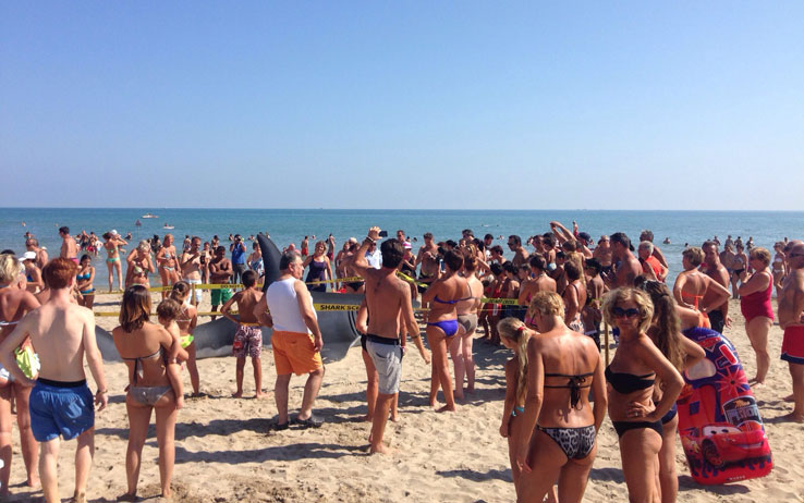 Maxi squalo in spiaggia ma è solo pubblicità di Sharknado su Sky Cinema