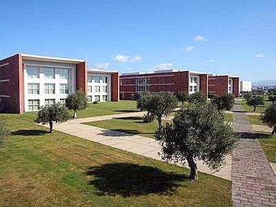 Immagine di Tiscali affiida da Agosto la raccolta pubblicitaria online a Sky Italia  - Scopri su Sky Italia