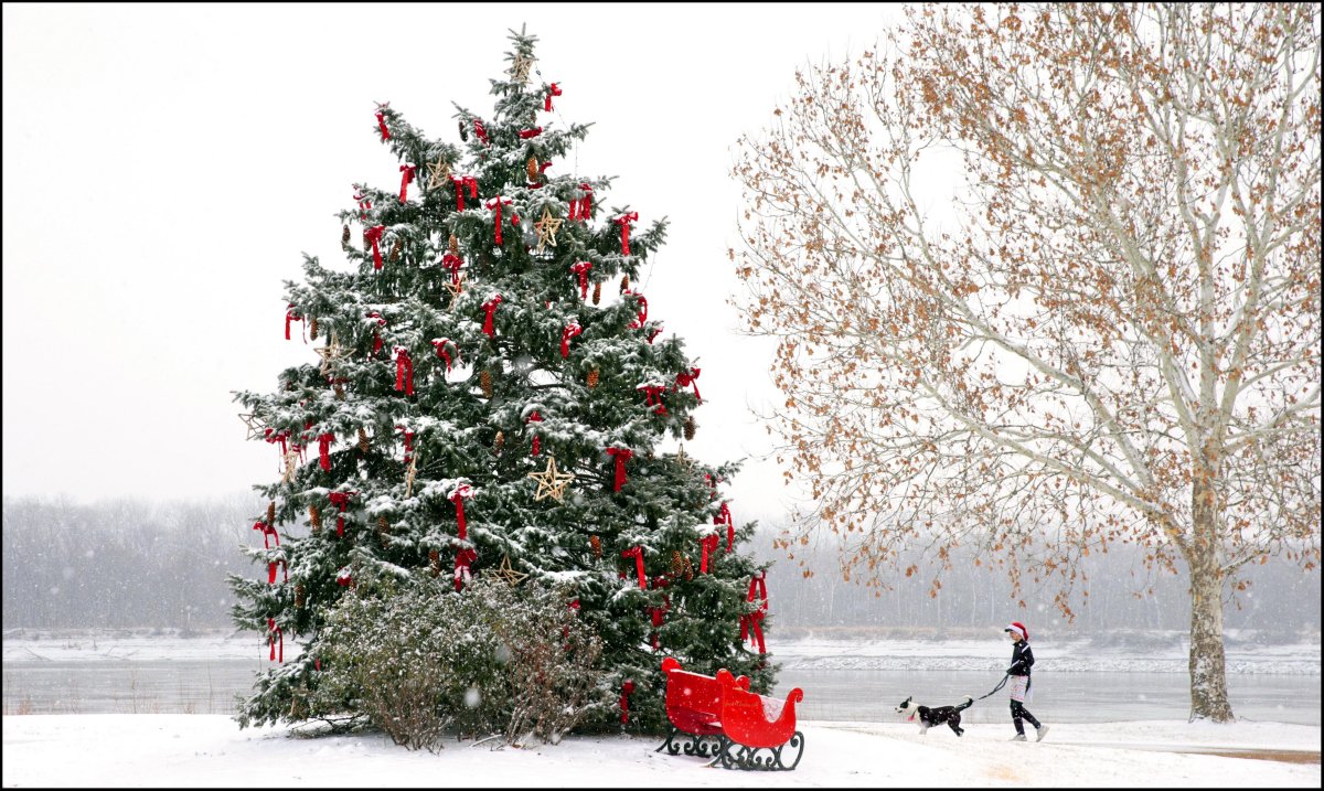 Auguri di Buon Natale 2017 da Digital-News.it e Digital-Forum.it