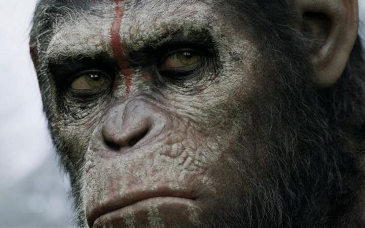 Sky Cinema Il Pianeta delle Scimmie HD, canale interamente dedicato alla saga