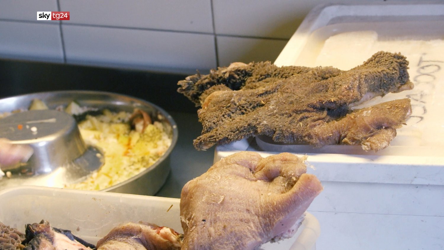 Un piatto di salute – Atto terzo, Sky TG24 torna ad indagare i pericoli alimentari