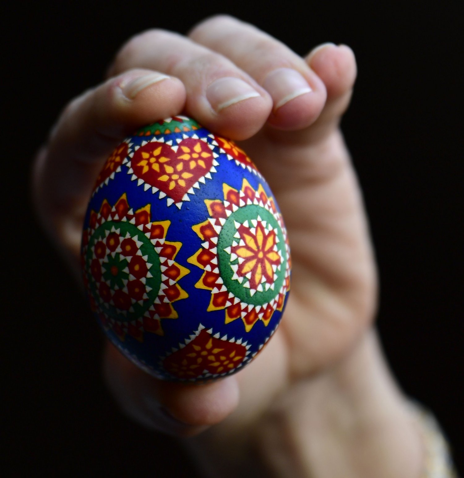 Buona Pasqua 2019 dalla Redazione Digital-News.it e Digital-Forum.it