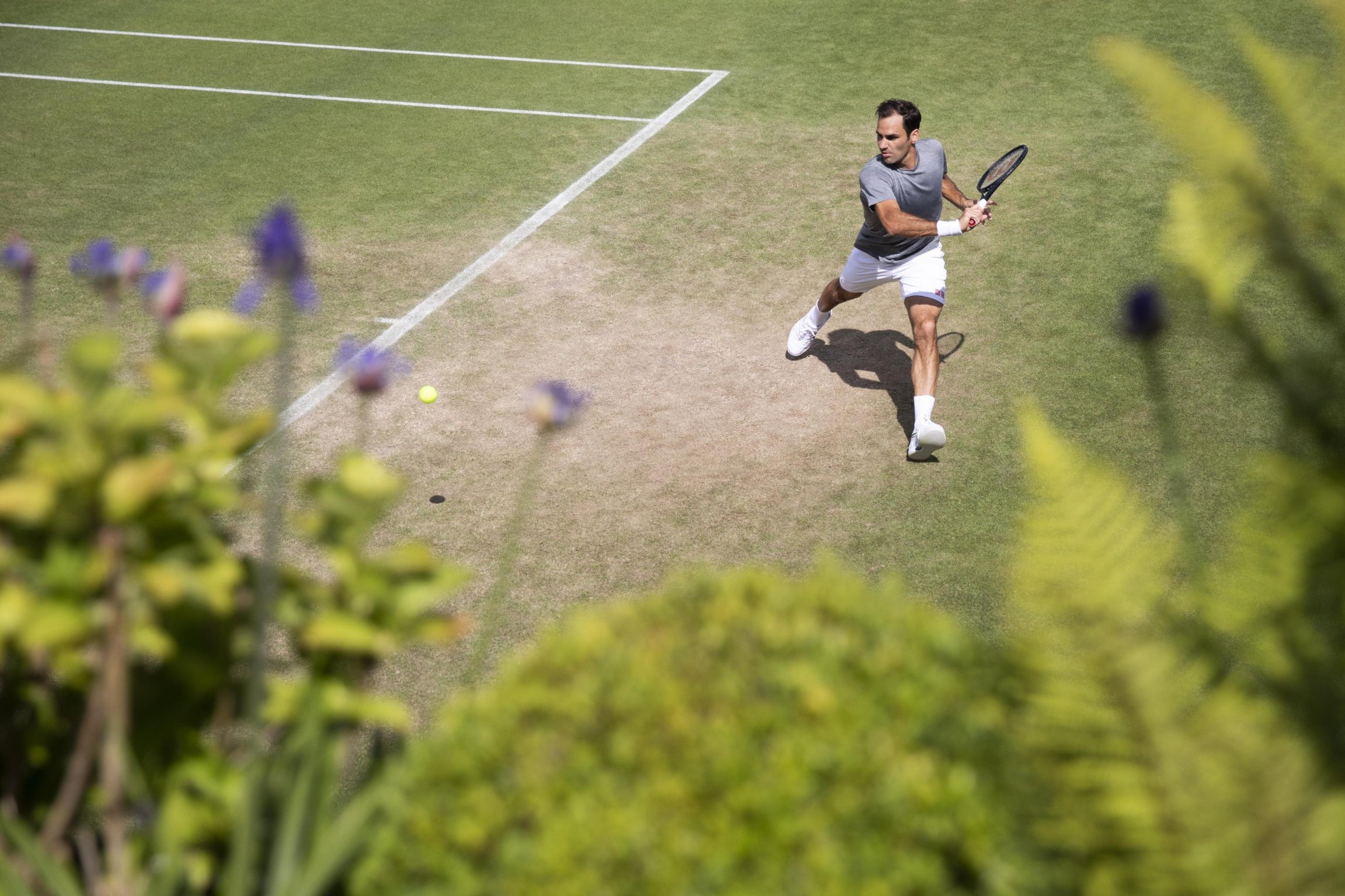 Tennis, Wimbledon 2019 in diretta esclusiva Sky Sport con 6 canali dedicati 