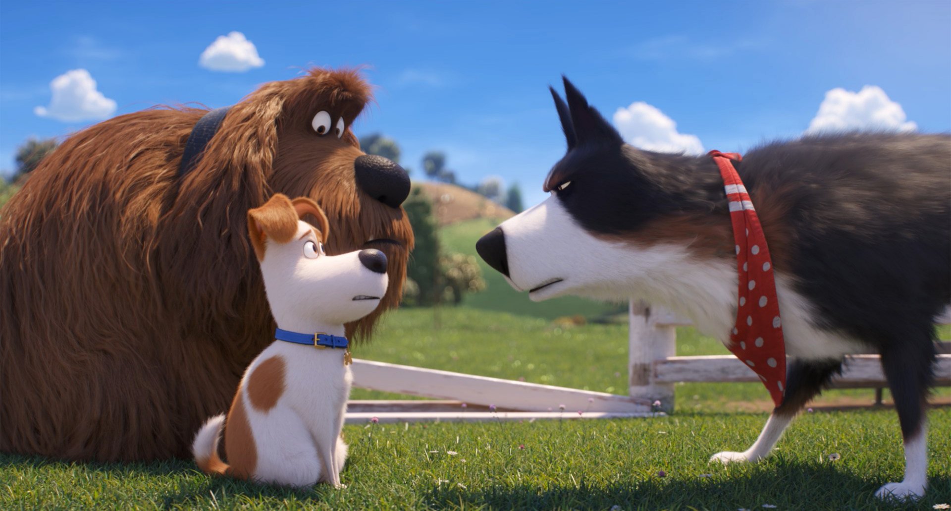 Pets 2 - Vita da animali, il secondo capitolo della saga su Sky Cinema Uno