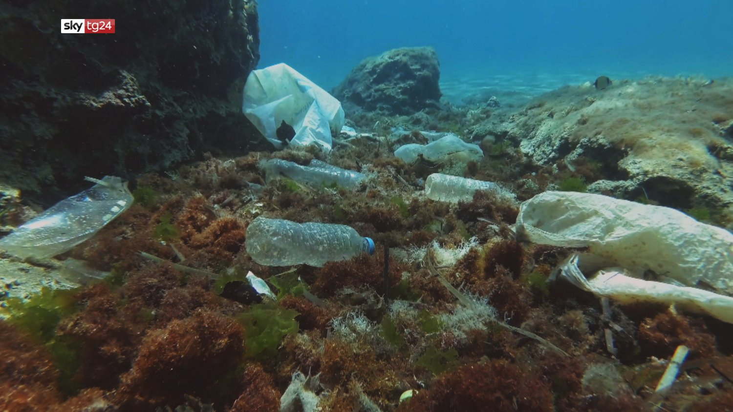 Sky TG24, «Odissea Plastica» impatto ecosistema tra problemi e falsi miti