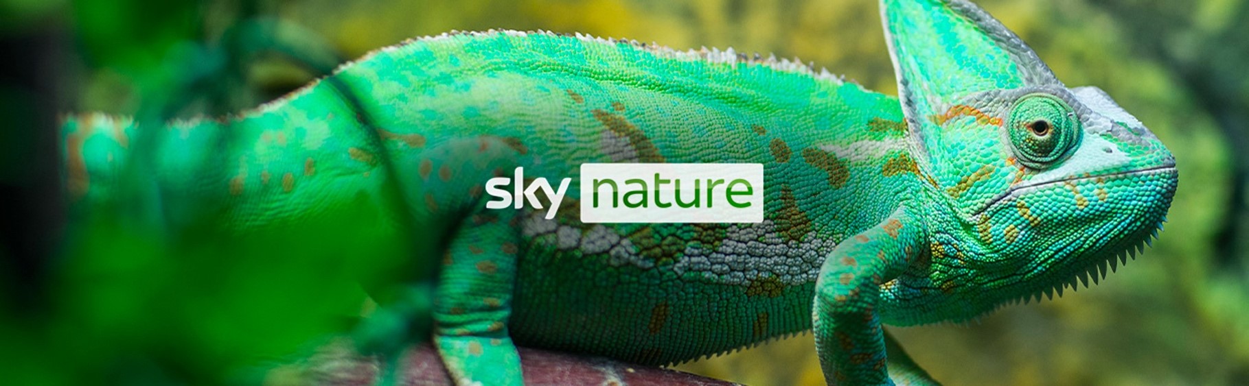 Da Luglio su Sky e NOW nuovi canali Serie, Investigation, Documentaries e Nature