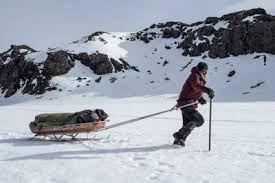 Domenica 27 Giugno 2021 Sky e Premium Cinema, Arctic