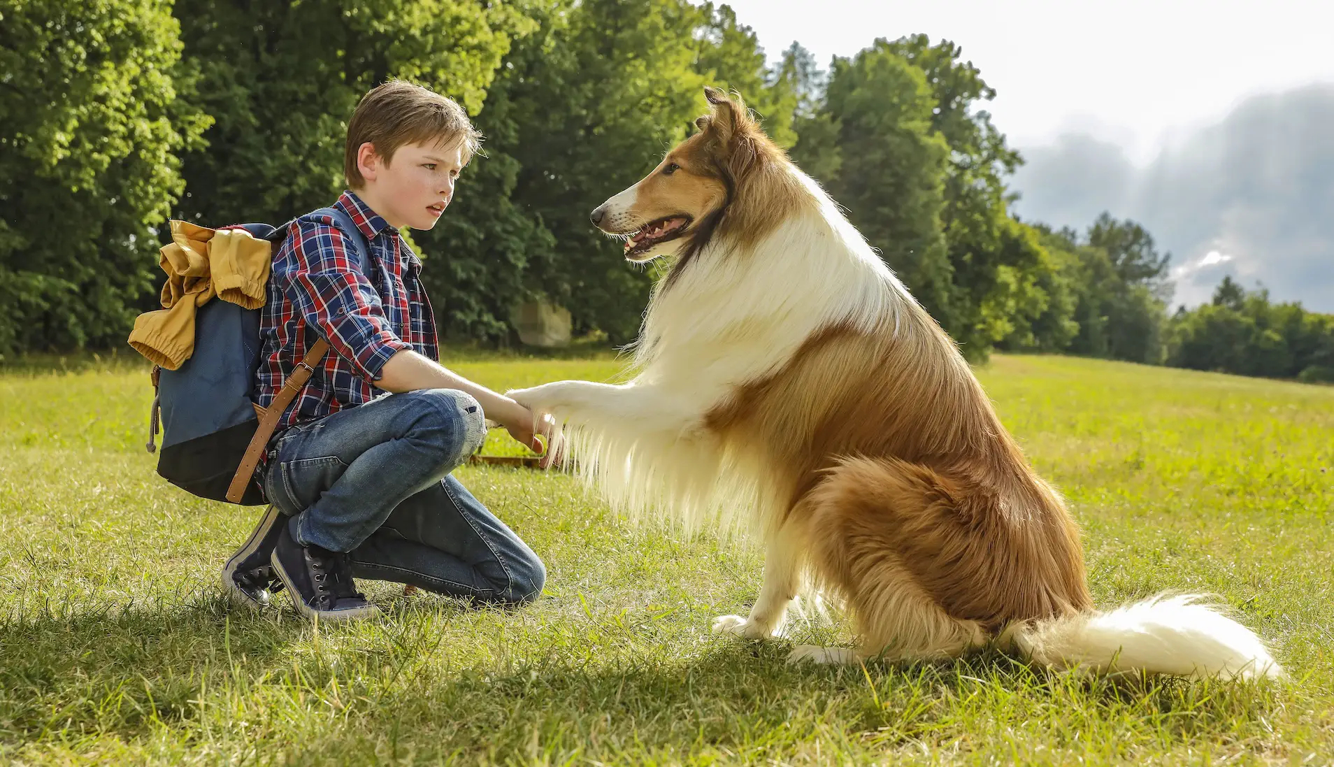 Venerdi 10 Settembre 2021 Sky e Premium Cinema, Lassie torna a casa
