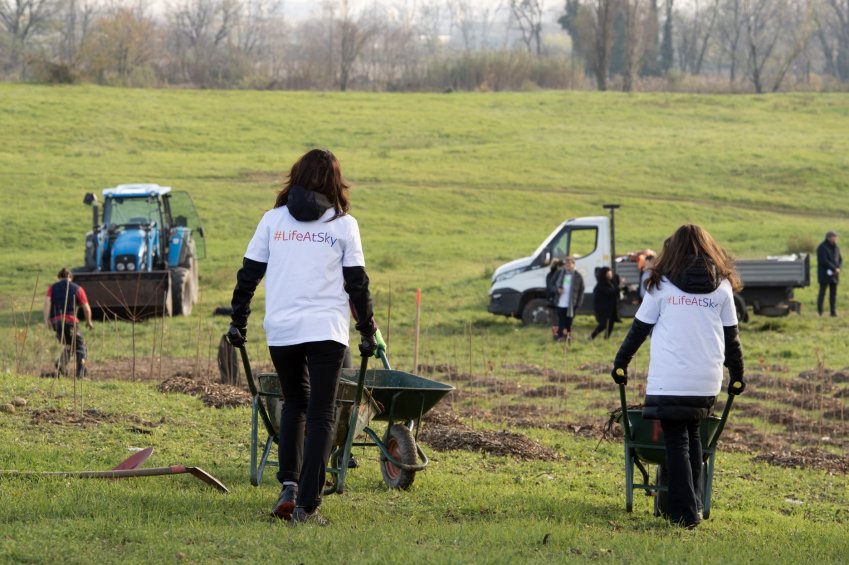 Sky tutela ambiente con progetto di forestazione per 1000 alberi a Milano
