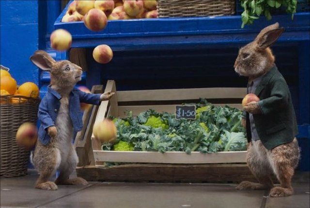 Venerdi 24 Dicembre 2021 Sky e Premium Cinema, Peter Rabbit 2 - Un birbante in fuga