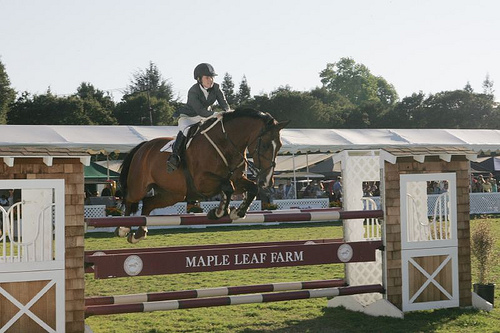 Equestrian Sports Network