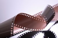 Immagine di Cinema, produttori chiedono stop alla pirateria e revisione delle &#039;&#039;finestre&#039;&#039;