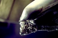 Immagine nel testo correlata a: Oggi sui canali SKY - Segnalazioni programmi di Giovedi 3 Maggio 2012