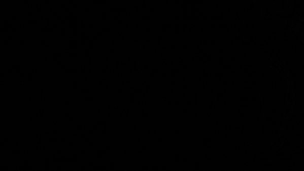 Mediaset chiede scusa per il blackout temporaneo del pomeriggio