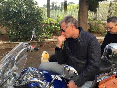 Immagine di Bonolis guest star nella web serie di Lillo e Greg 'Pupazzo Criminale' - Scopri su Internet e Tv