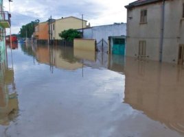 Immagine di Sardegna, Giornata di Lutto Nazionale: queste le variazioni al palinsesto Rai