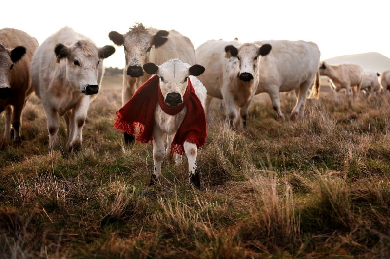 Immagine di Simona Ventura verso FoxLife con reality bucolico