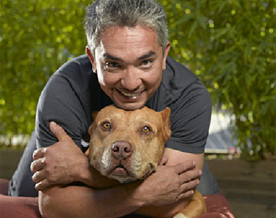 Immagine di Cesar Millan è il ''Dog Whisperer'', nuova serie nel pomeriggio di Cielo - Scopri su Digitale Terrestre