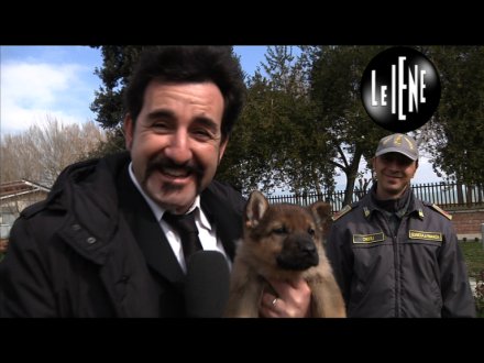 Immagine di Stasera alle  ''Iene'' Enrico Lucci intervista Jovanotti durante un concerto - Scopri su Televisione