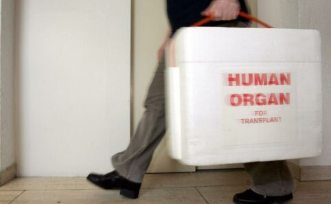 Cuori in vendita, un reportage del Tg5 sul traffico illegale di organi umani