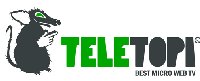 Immagine di Assegnati i Teletopi 2011, gli oscar per le migliori web tv italiane - Scopri su Internet e Tv