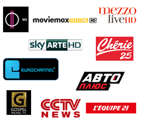 Immagine di Eutelsat TV Awards 2013 | Vincono Sky Arte e Rai Storia, premiata #Sky10anni