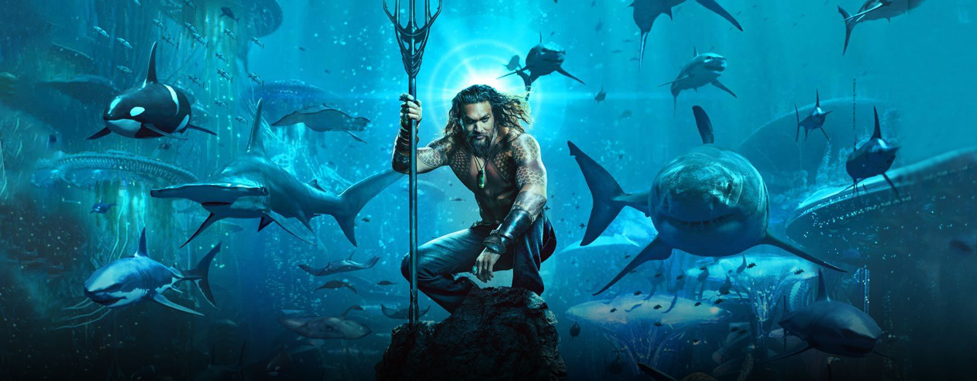 Venerdi 31 Gennaio sui canali Sky Cinema HD