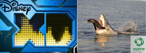 Immagine di  - Scopri di più su Televisione